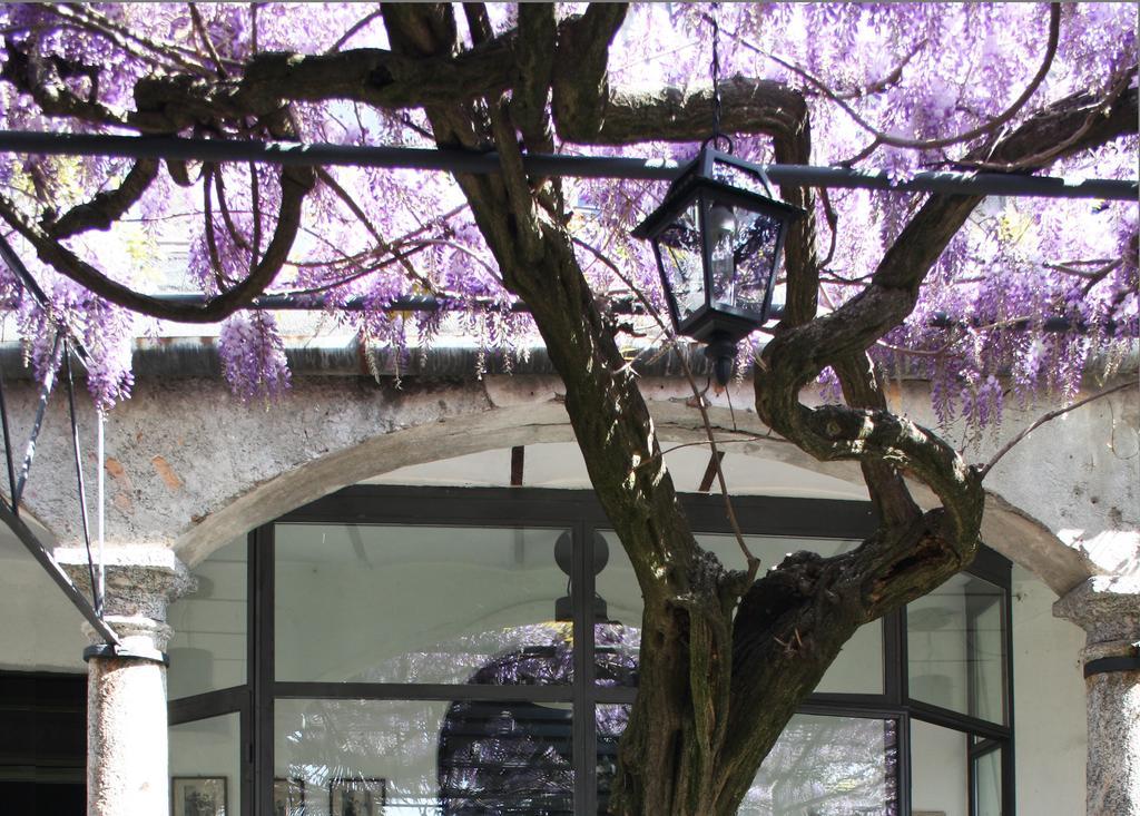 Antico Glicine B&B Maslianico Exterior foto